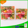 Hot selling wholesale tempered glass plate with apple